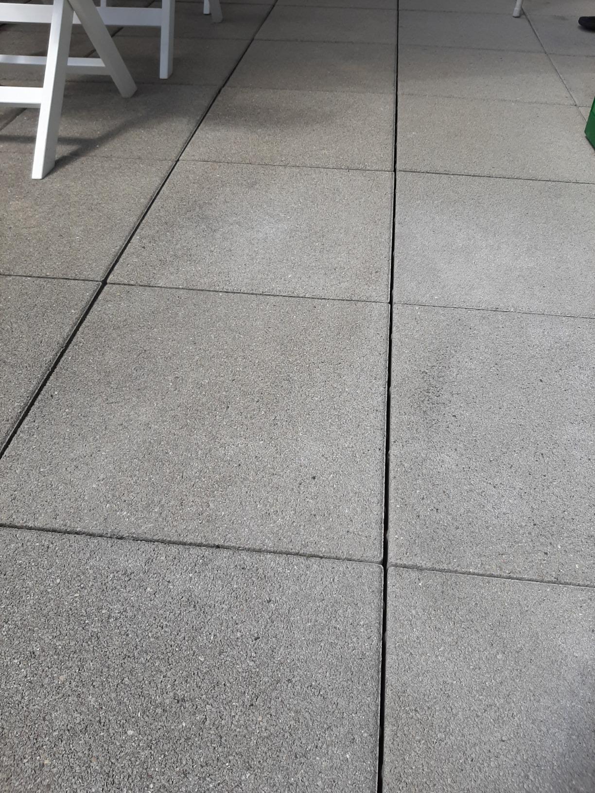Ein Liebling in unserer Werkstatt