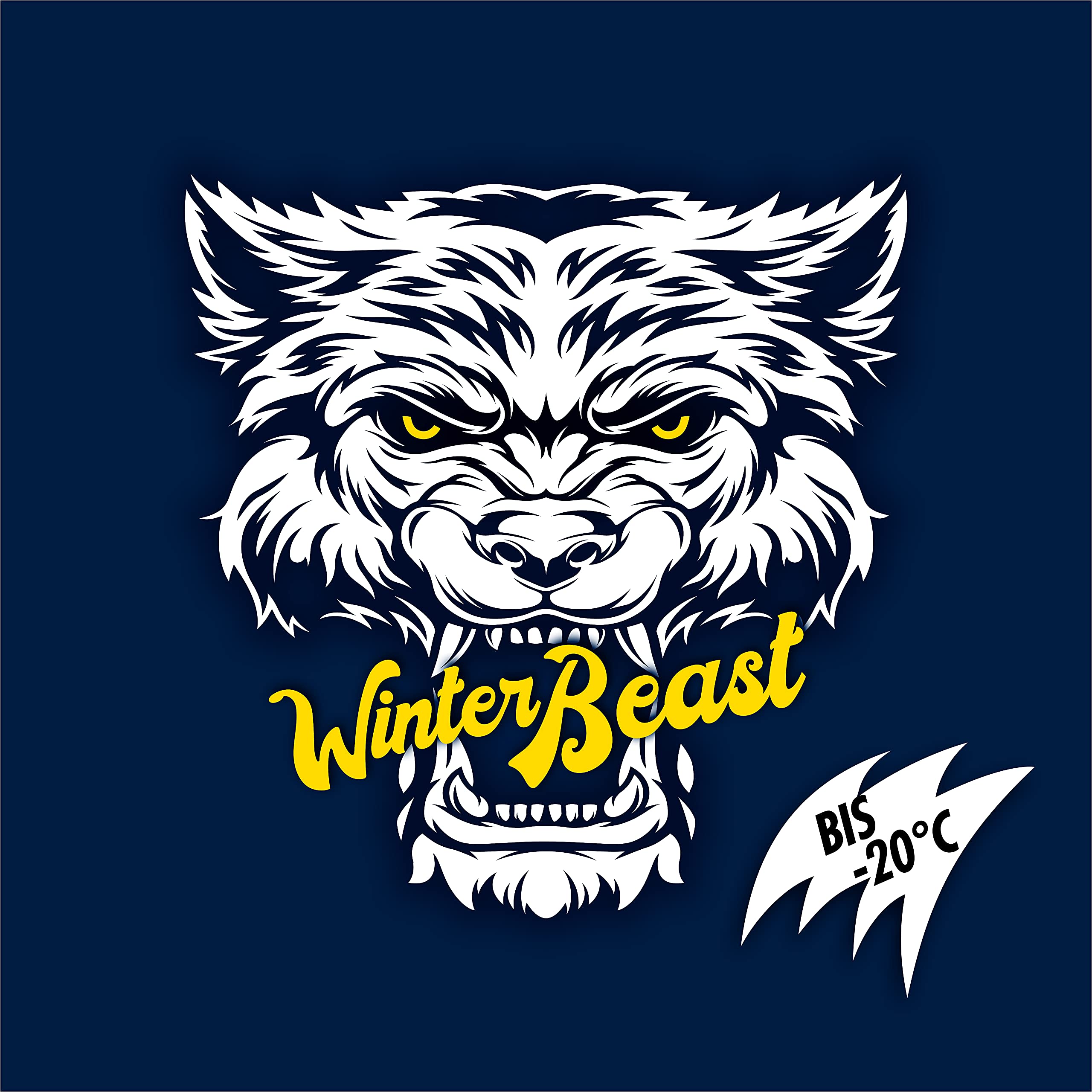 sonax-winterbeast-antifrost-klarsicht-20-c-3-liter-scheibenfrostschutz image 8