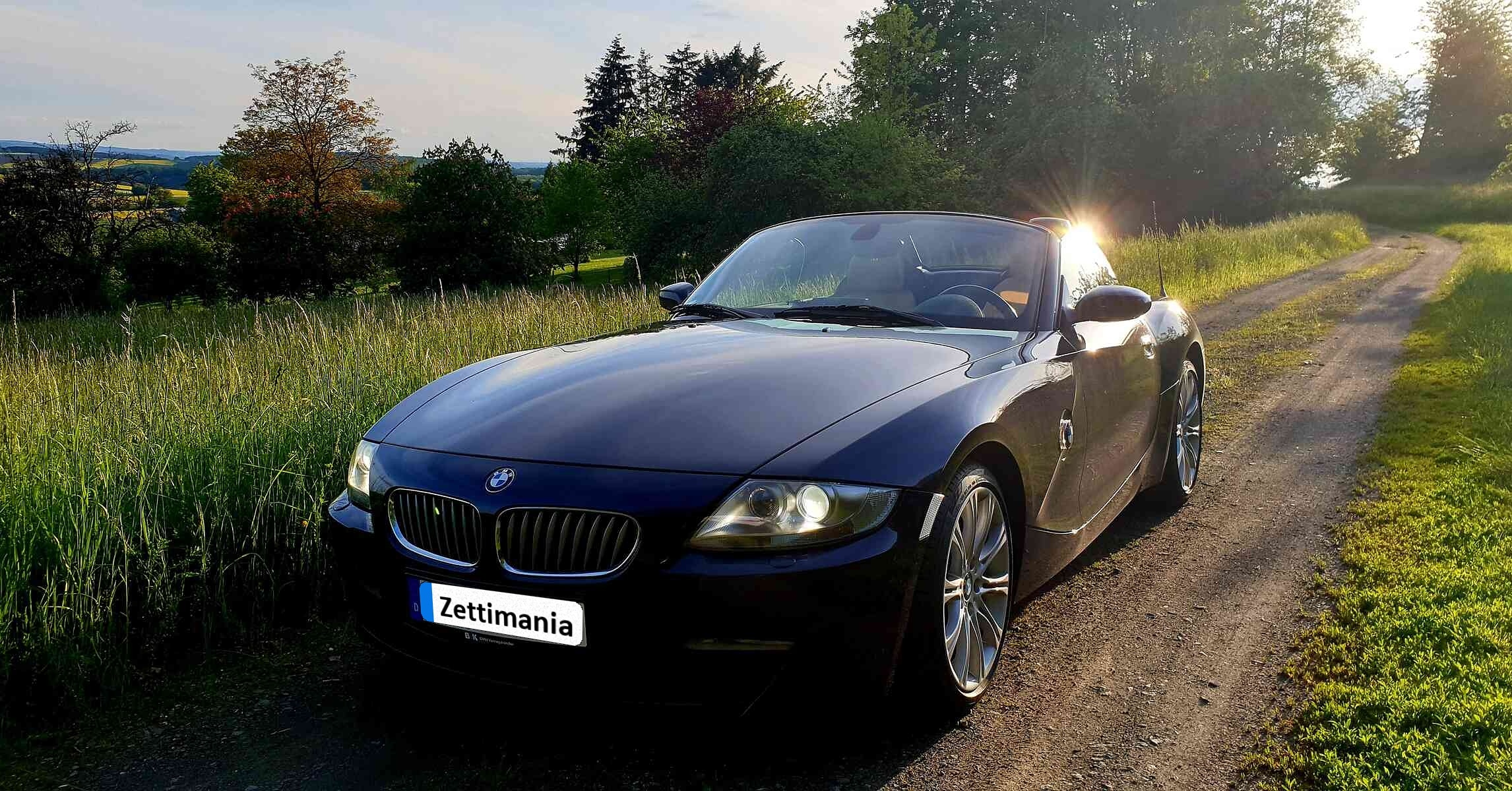 Sommer gerettet